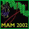 100x100 MAM 2002 graphic